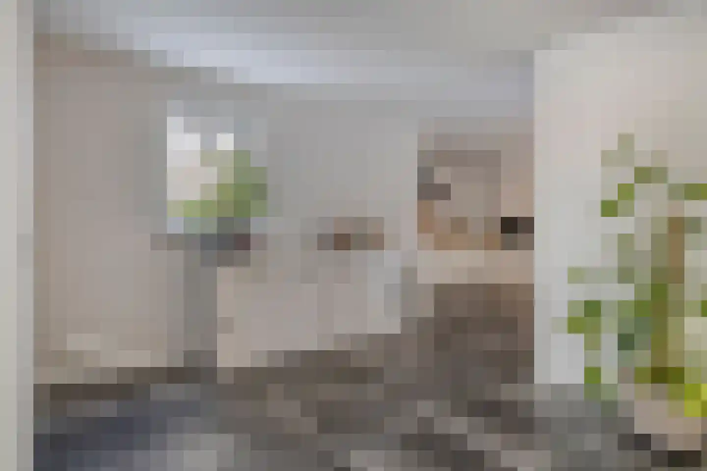 Zoutestraat 180 Hulst thumbnail 4