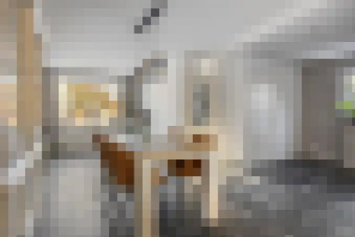 Zoutestraat 180 Hulst thumbnail 5