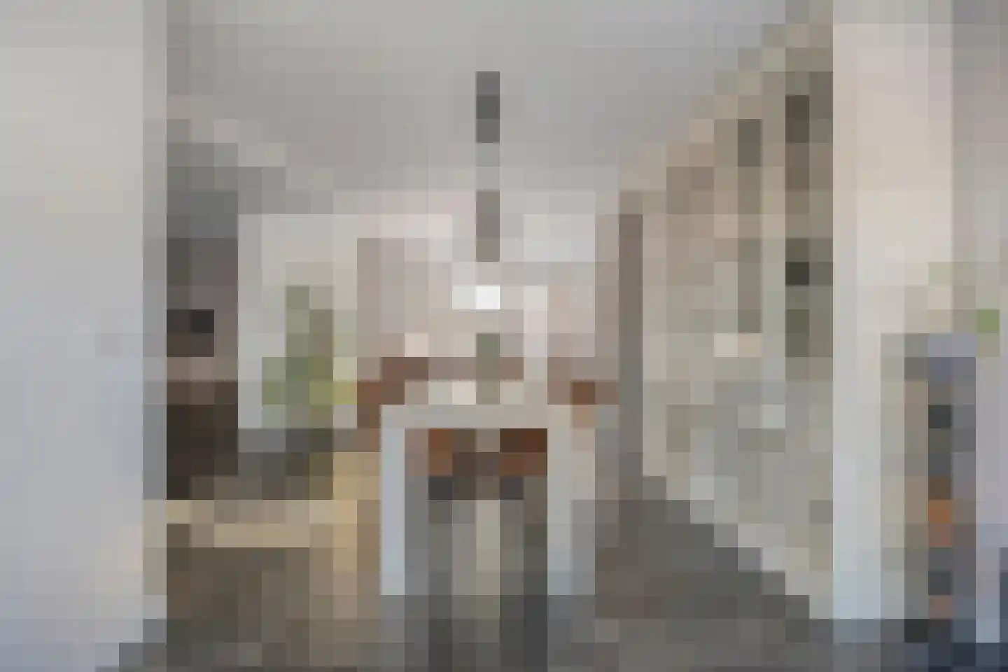 Zoutestraat 180 Hulst thumbnail 6
