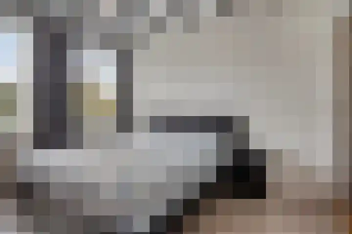 Zoutestraat 31 Hulst thumbnail 18