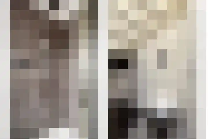 Zoutestraat 31 Hulst thumbnail 21