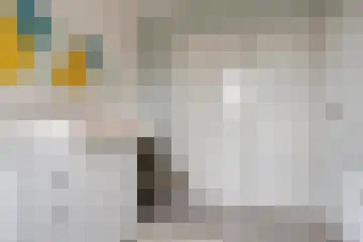 Zoutestraat 31 Hulst thumbnail 22