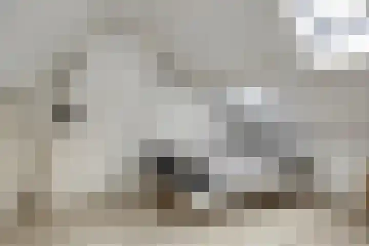 Zoutestraat 31 Hulst thumbnail 23