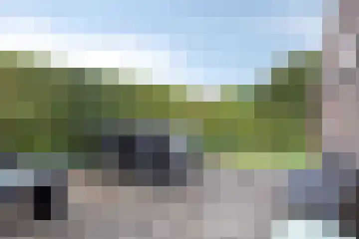 Zoutestraat 31 Hulst thumbnail 26