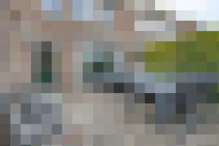 Zoutestraat 31 Hulst thumbnail 27