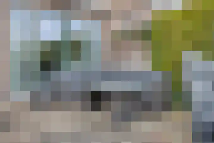 Zoutestraat 31 Hulst thumbnail 28