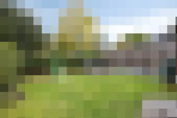 Zoutestraat 31 Hulst thumbnail 29