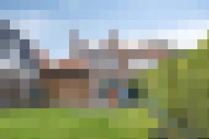 Zoutestraat 31 Hulst thumbnail 30