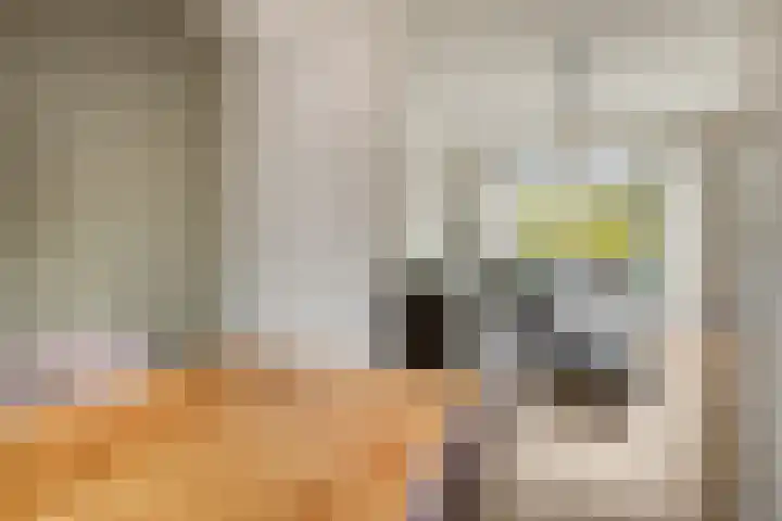 Zoutestraat 31 Hulst thumbnail 9