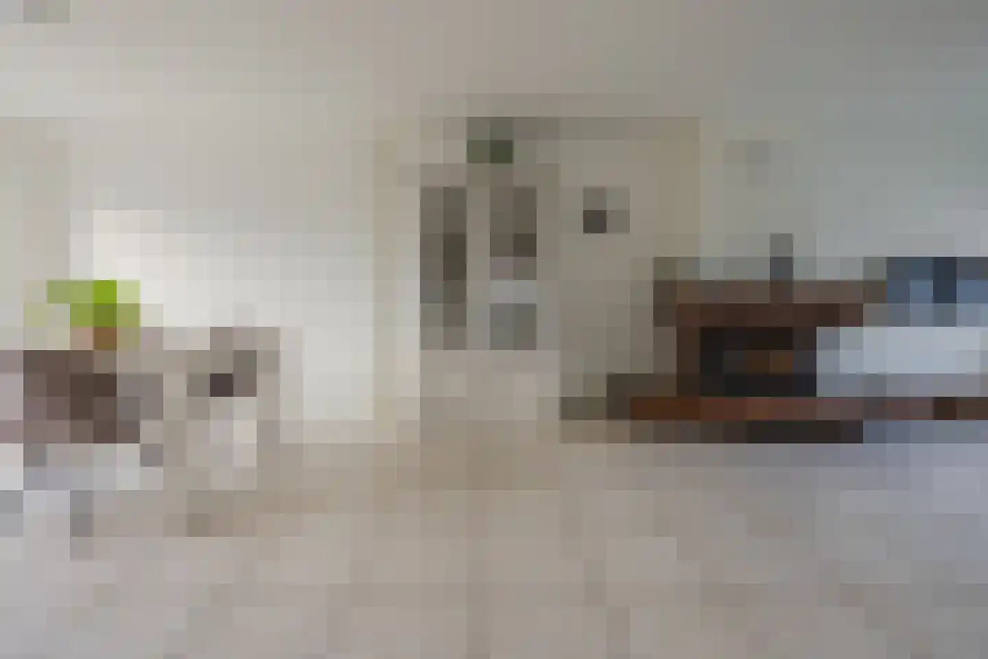 Zoutestraat 53 Hulst thumbnail 11