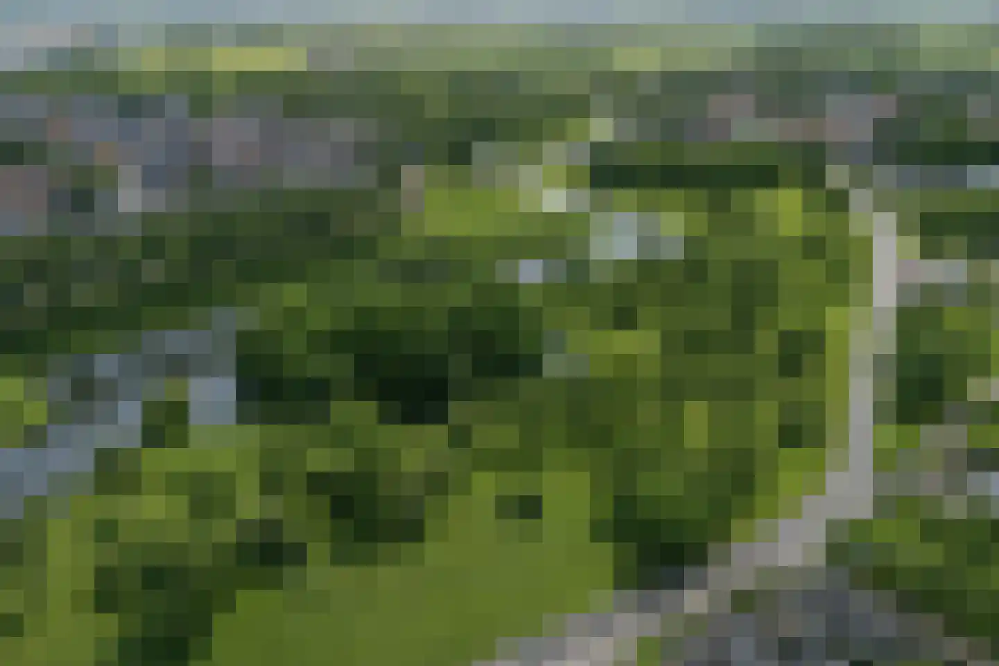 Zoutestraat 53 Hulst thumbnail 27