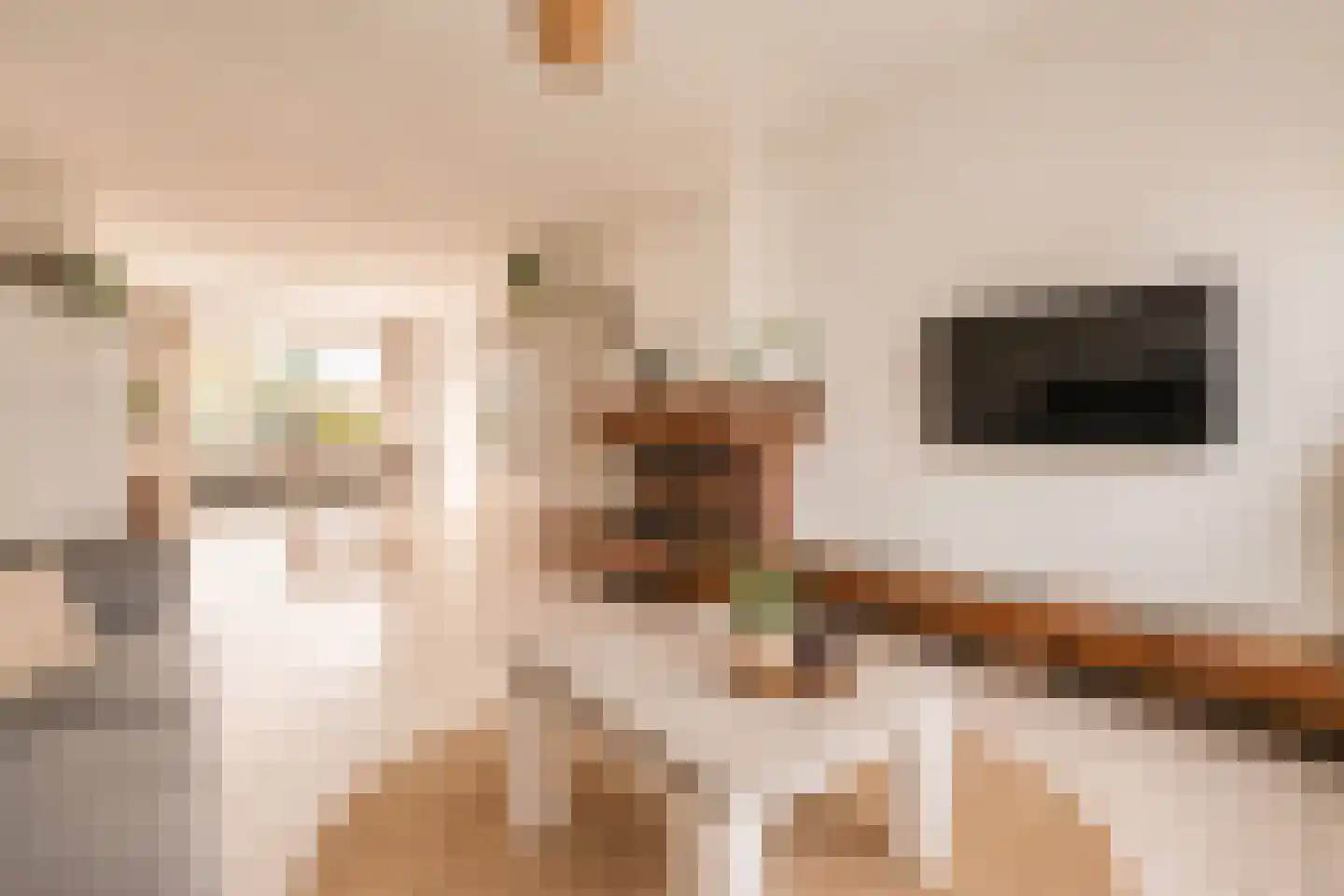 Zoutestraat 53 Hulst thumbnail 9