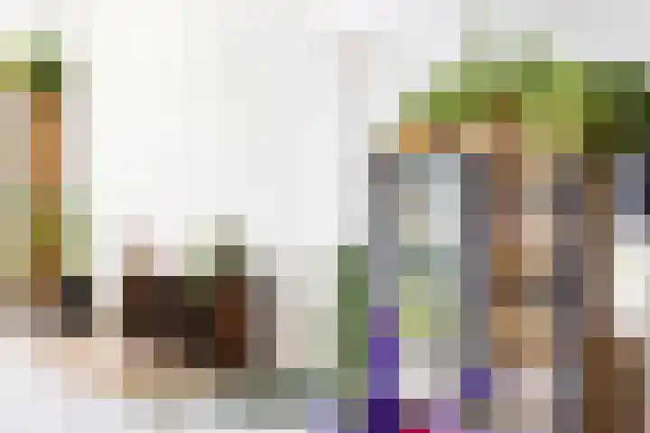 Zoutestraat 71 Hulst thumbnail 10