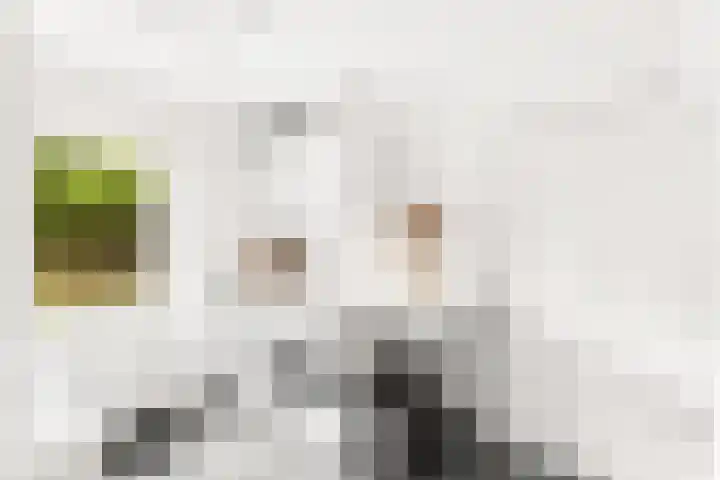 Zoutestraat 71 Hulst thumbnail 14