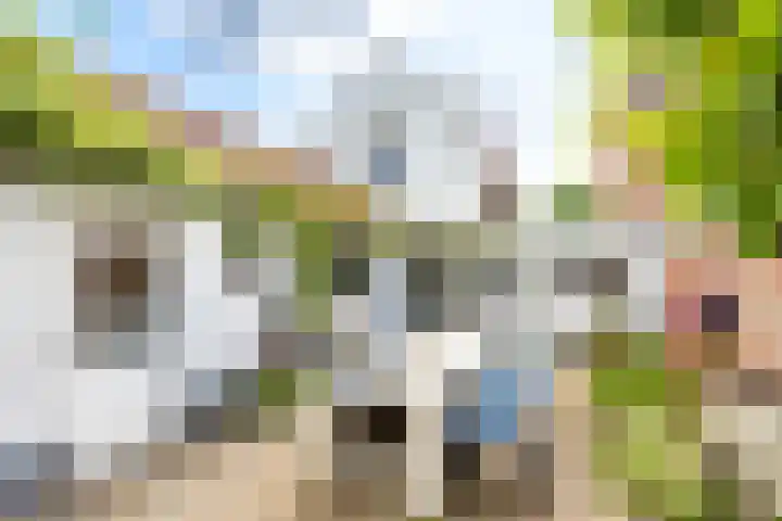 Zoutestraat 71 Hulst thumbnail 26