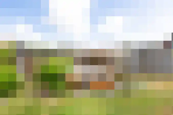 Zoutestraat 71 Hulst thumbnail 28