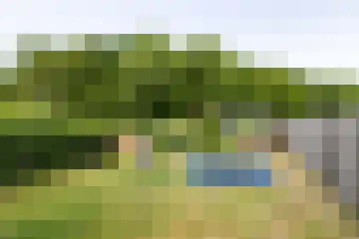 Zoutestraat 71 Hulst thumbnail 29