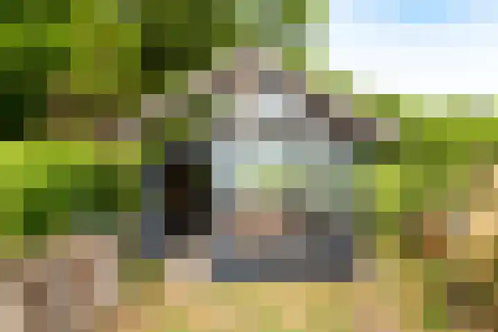 Zoutestraat 71 Hulst thumbnail 30