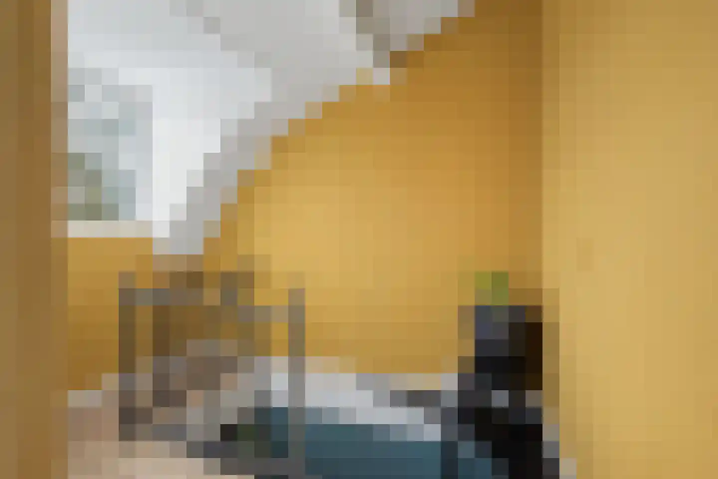 Zoutestraat 76 Hulst thumbnail 13