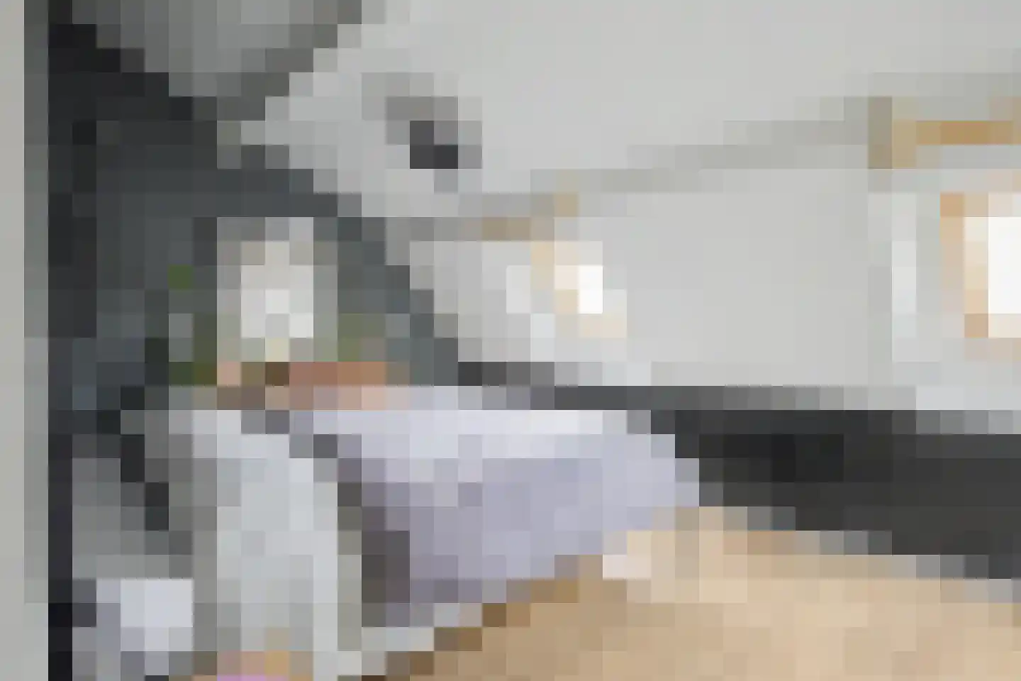 Zoutestraat 76 Hulst thumbnail 16
