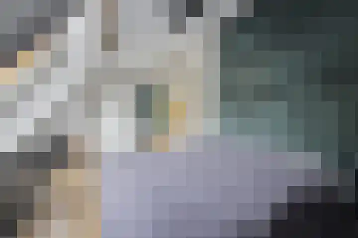 Zoutestraat 76 Hulst thumbnail 17