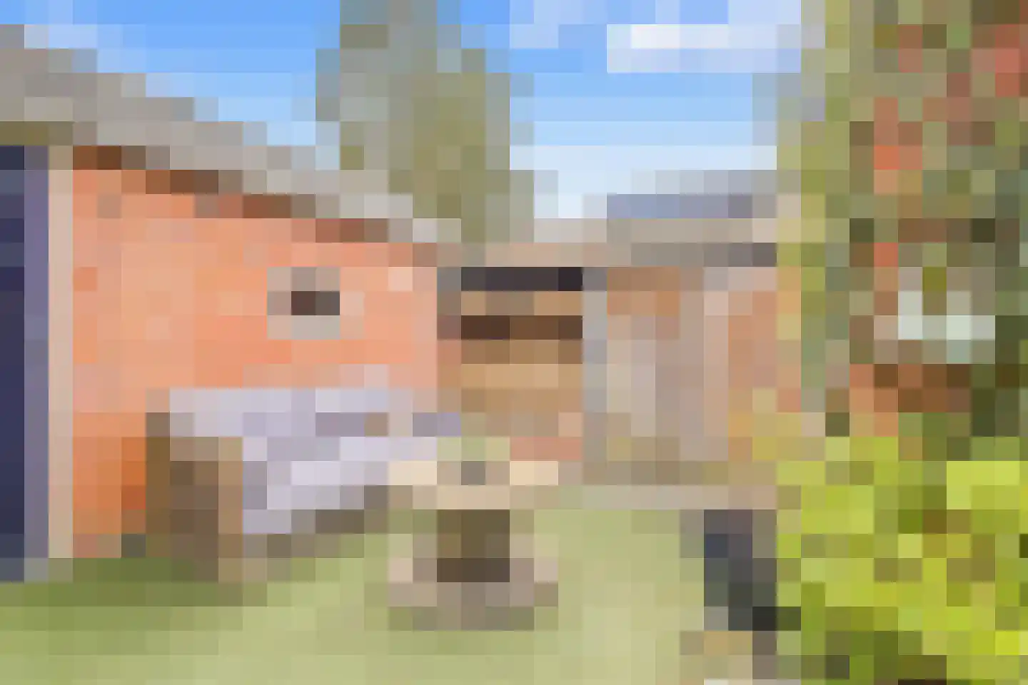 Zoutestraat 76 Hulst thumbnail 22