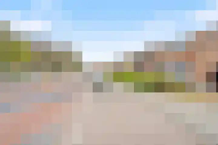 Zoutestraat 76 Hulst thumbnail 24