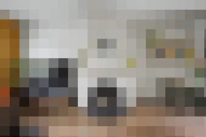 Zoutestraat 76 Hulst thumbnail 6