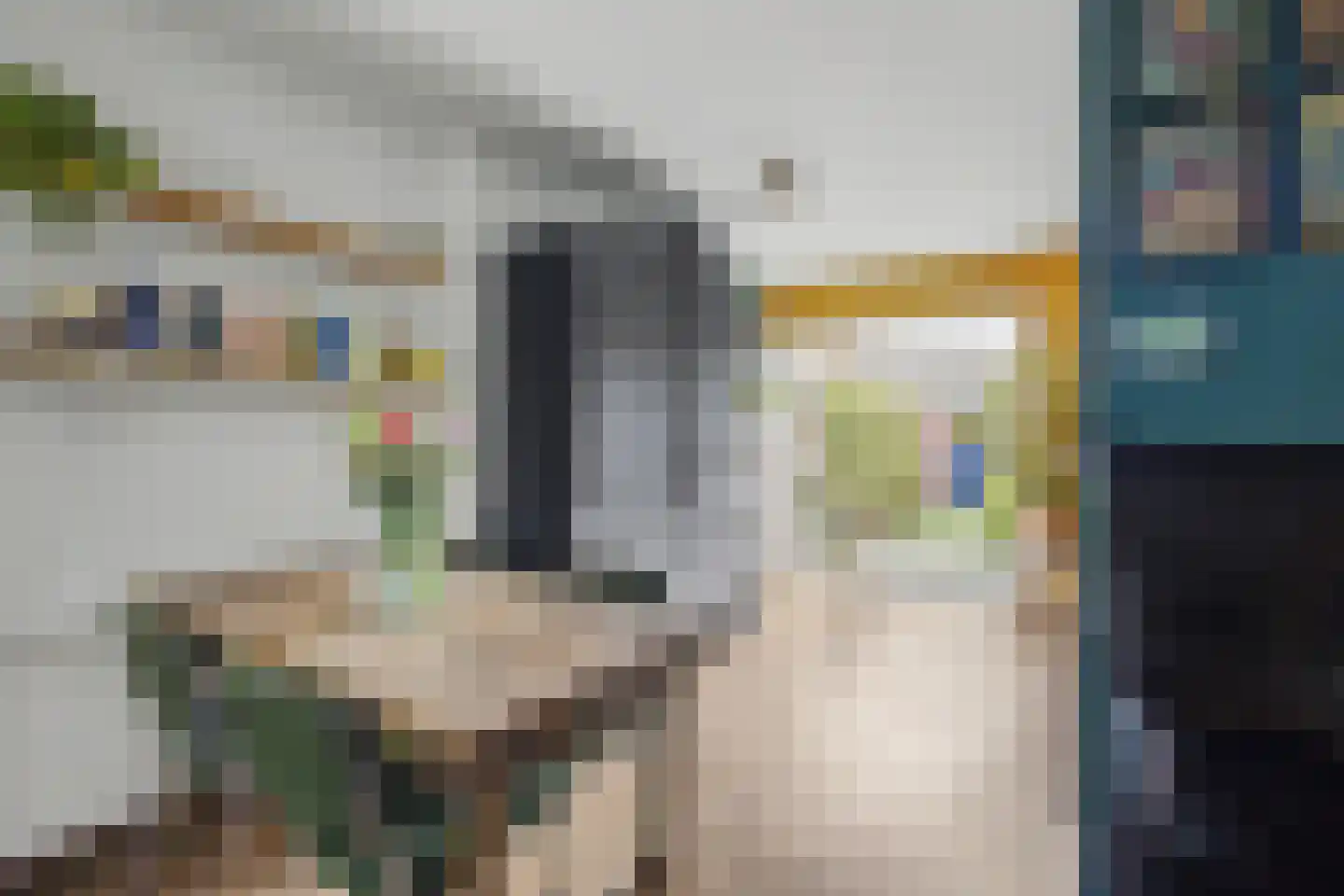 Zoutestraat 76 Hulst thumbnail 8