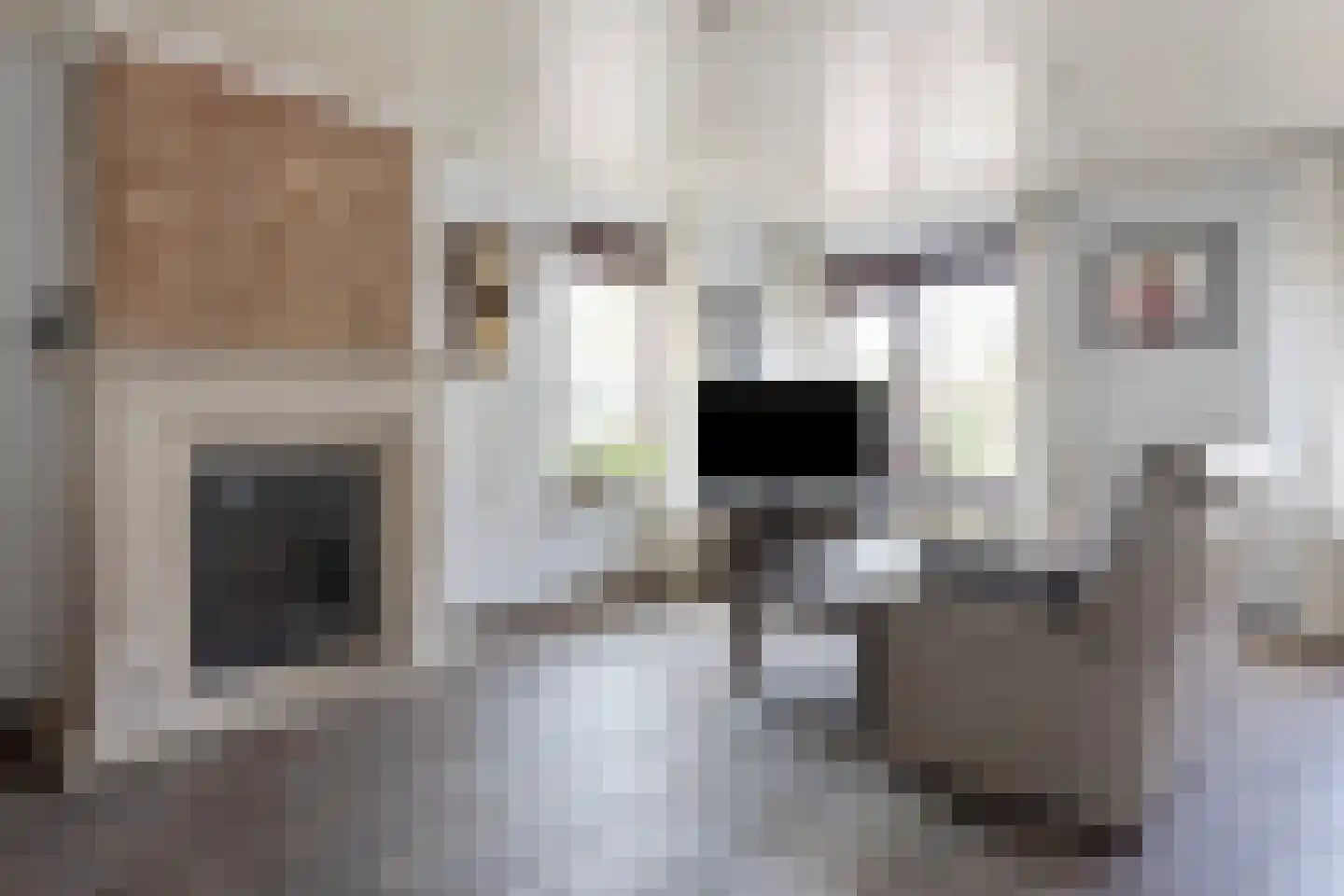 Zoutestraat 84 Hulst thumbnail 6