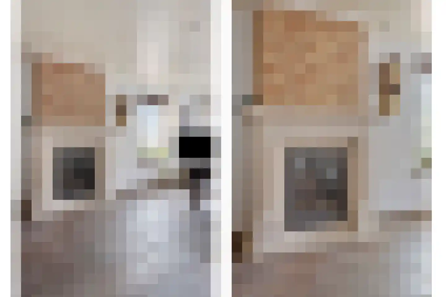 Zoutestraat 84 Hulst thumbnail 7