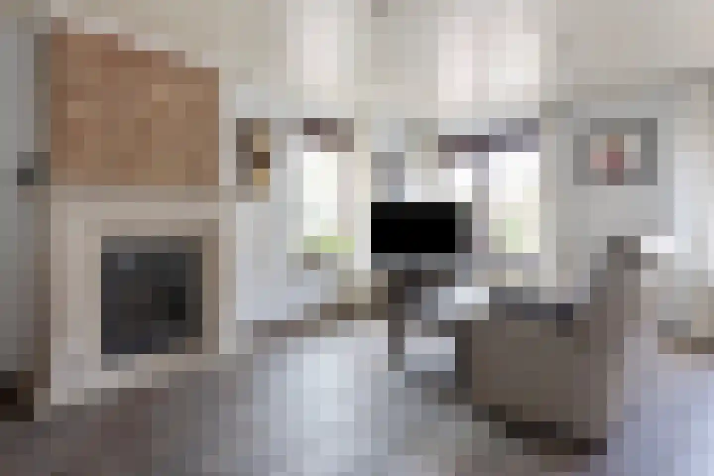 Zoutestraat 84 Hulst thumbnail 8