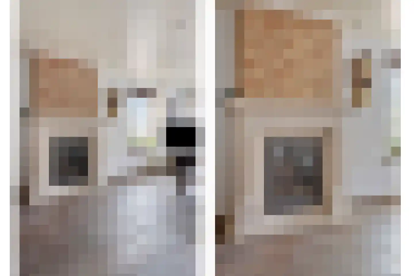 Zoutestraat 84 Hulst thumbnail 9