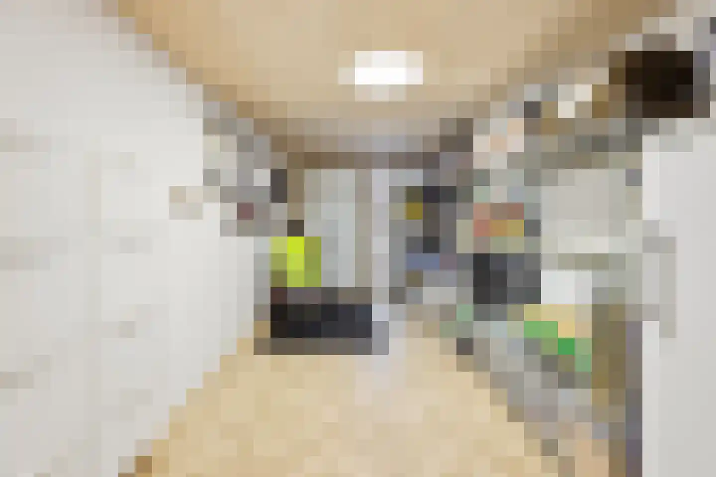 Zoutewelle 20 Vlissingen thumbnail 28