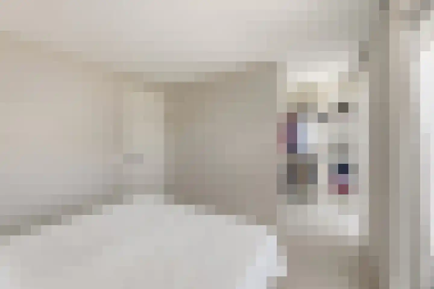 Zoutewelle 20 Vlissingen thumbnail 33