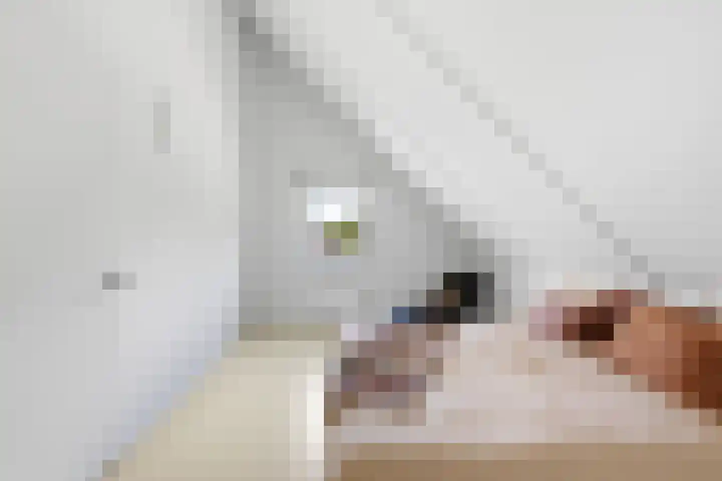 Zoutewelle 20 Vlissingen thumbnail 39