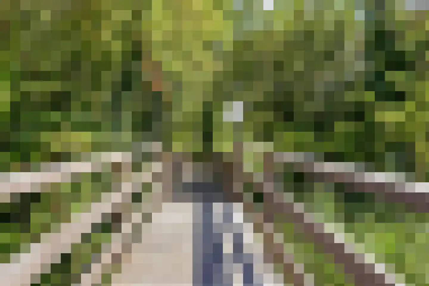 Zoutewelle 20 Vlissingen thumbnail 6