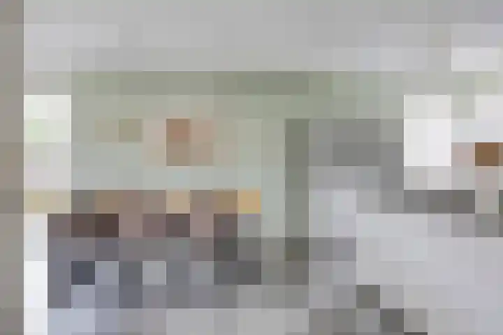 Zoutgootpad 6 Oss thumbnail 10