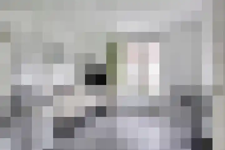 Zoutgootpad 6 Oss thumbnail 11