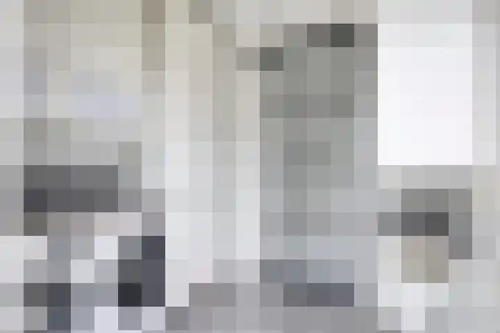 Zoutgootpad 6 Oss thumbnail 13