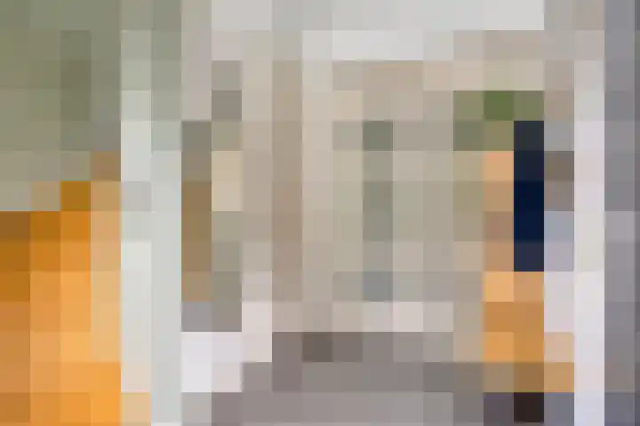 Zoutgootpad 6 Oss thumbnail 15