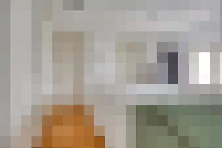 Zoutgootpad 6 Oss thumbnail 18
