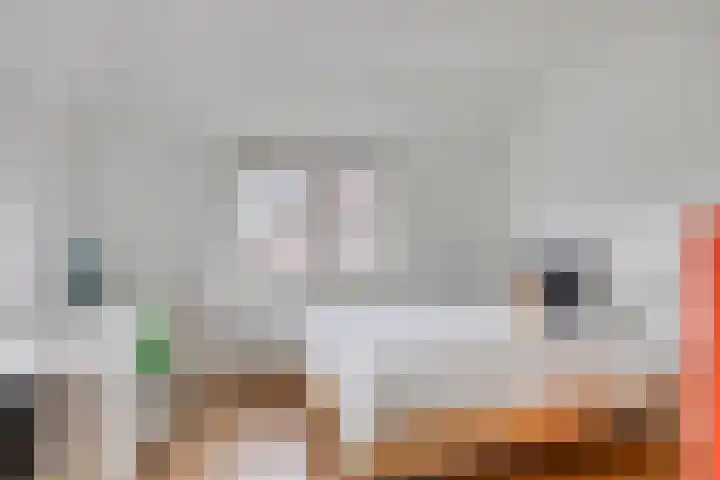 Zoutgootpad 6 Oss thumbnail 23