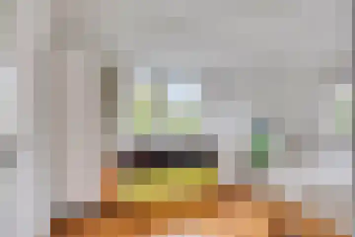 Zoutgootpad 6 Oss thumbnail 24