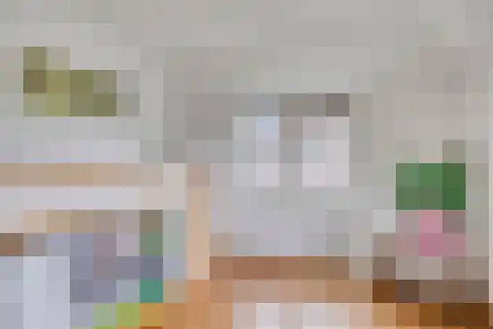 Zoutgootpad 6 Oss thumbnail 25