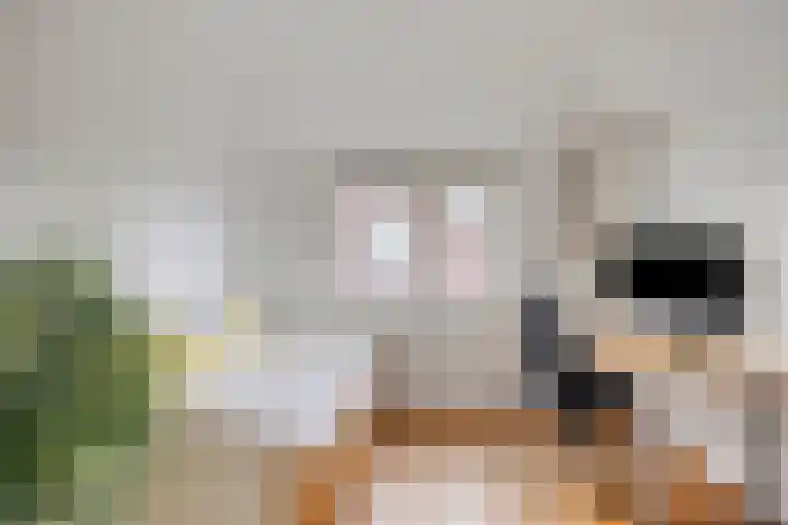 Zoutgootpad 6 Oss thumbnail 27