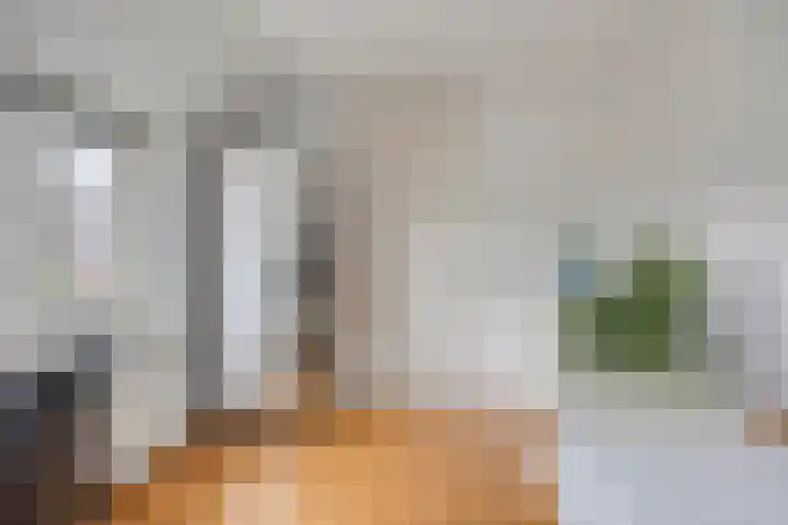 Zoutgootpad 6 Oss thumbnail 28