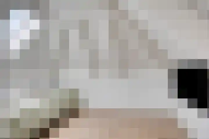Zoutgootpad 6 Oss thumbnail 29