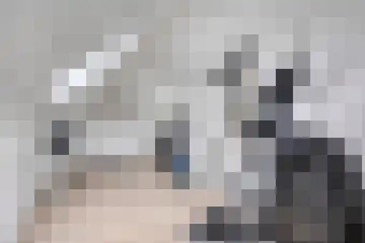 Zoutgootpad 6 Oss thumbnail 30