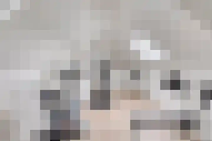 Zoutgootpad 6 Oss thumbnail 31